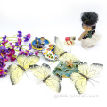 China Butterfly decoration Factory